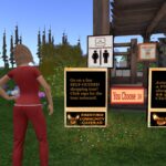 Noob in Second Life